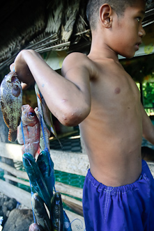 Fish for breakfast, Tafua, Samoa.